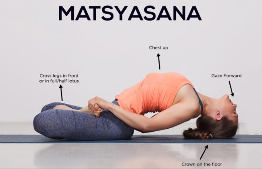 Matsya Asana