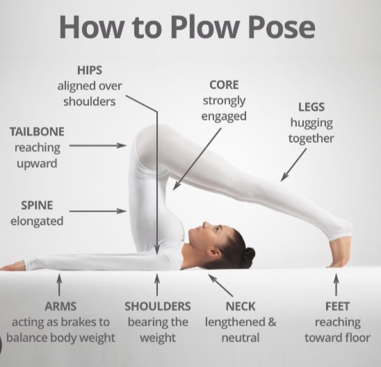 Hal Asana (Plow Pose)