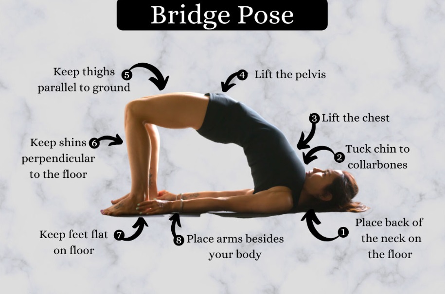 Setu Bandhasana (Bridge Pose) Yoga Asanas for ENT Diseases