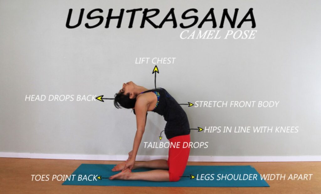 Ushtra Asana (The CAMEL POSE)